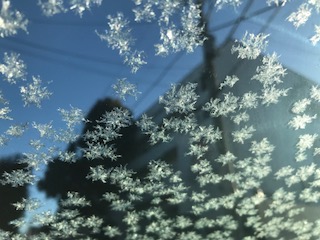 雪　ブログ写真